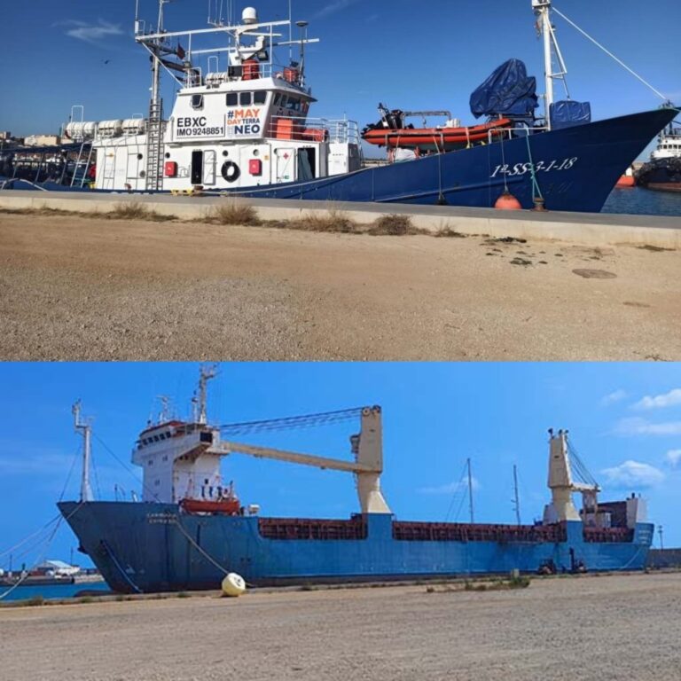 Marinera de luces y gaviota de luna